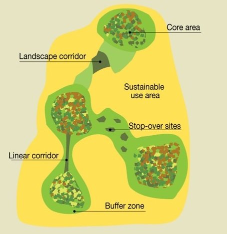 Landscape patterns - GIS Crack